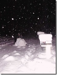 snowpocalypse  11