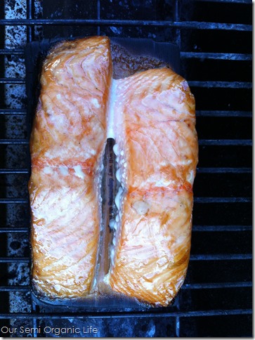salmon 2
