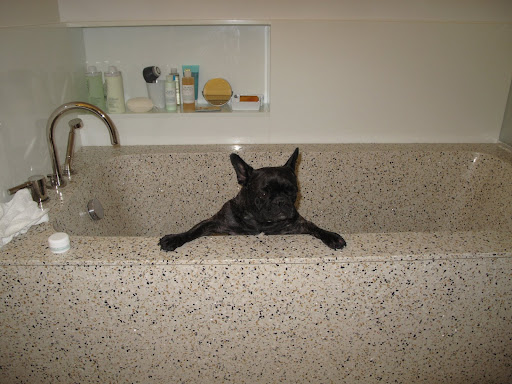 Oh boy! Another bath. However, it really isn't so bad becaue this tub is so deep and roomy.