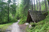 IMG_0008.JPG Photo