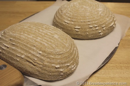 [IMG_0507%255B3%255D.jpg]
