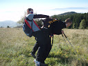 PA100253.JPG