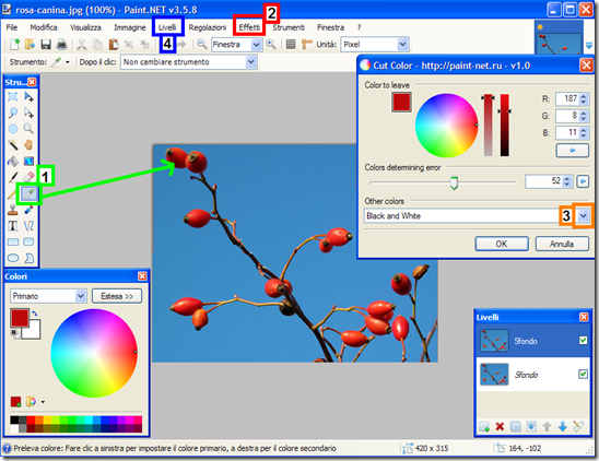 Paint.NET isolare un colore in una foto Paint.NET isolare un colore in una foto