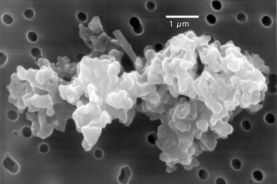 [Porous_chondrite%255B2%255D.jpg]