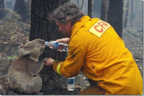 powerful-photos-7 powerful-photos-7