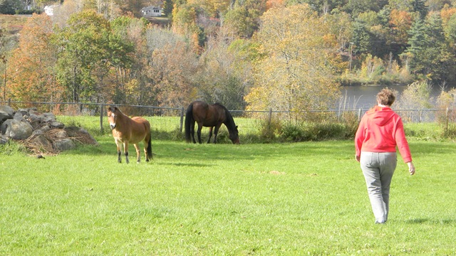 [Fall%2520at%2520Jean%2527s%2520with%2520horses.%2520093%255B3%255D.jpg]