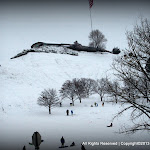 IMG_7949.JPG