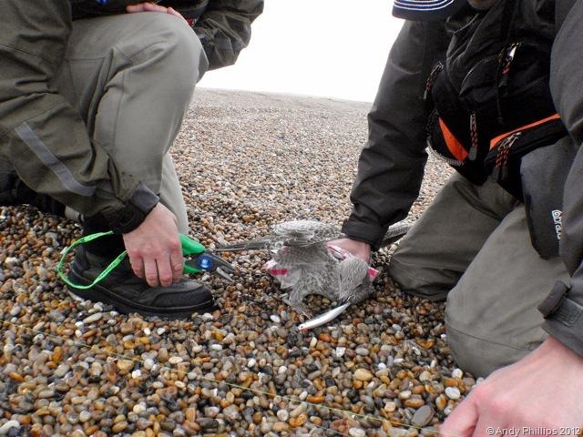 [Chesil%252030092012-2%255B8%255D.jpg]