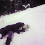 white winter white winter