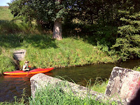 DSC04686.JPG Photo