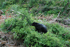 glacier_national_park_-_2009