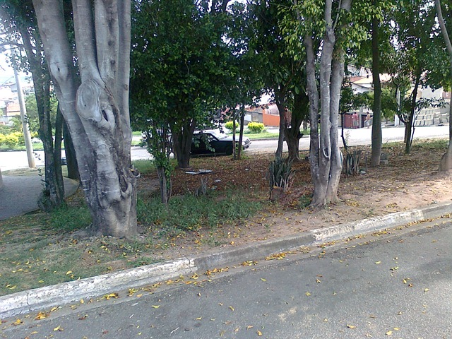 [maria%2520jos%25C3%25A9%255B4%255D.jpg]