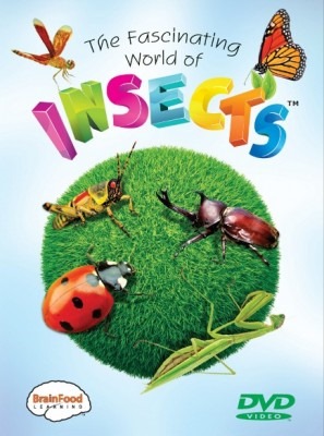 [insects1.jpg]