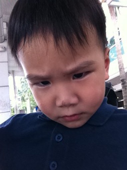 IMG_4550 IMG_4550