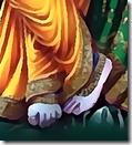 Lord Krishna's lotus feet