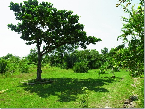 R0028528