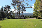 This flat expanse used to a be grove of eucalyptus trees. Sadly, disease wiped them out, but I'm not complaining. A level lawn means stable tables and chairs, and easy walking for the grandparents. This flat expanse used to a be grove of eucalyptus trees. Sadly, disease wiped them out, but I'm not complaining. A level lawn means stable tables and chairs, and easy walking for the grandparents.