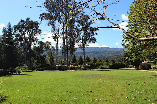 This flat expanse used to a be grove of eucalyptus trees. Sadly, disease wiped them out, but I'm not complaining. A level lawn means stable tables and chairs, and easy walking for the grandparents. This flat expanse used to a be grove of eucalyptus trees. Sadly, disease wiped them out, but I'm not complaining. A level lawn means stable tables and chairs, and easy walking for the grandparents.