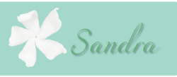 [Sandra%255B2%255D.png]
