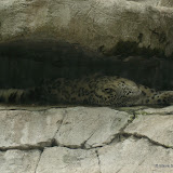PittsburghZOO PittsburghZOO