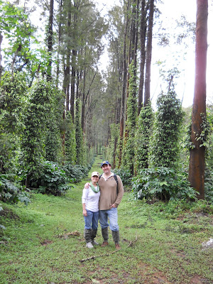 Kenny and I in the middle of the coffee plantation