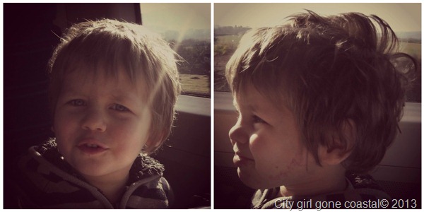 my little darlings