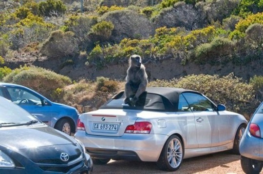 [viral-picdump-pics-fc0204%255B2%255D.jpg]