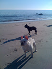 Winnie and Fala: 