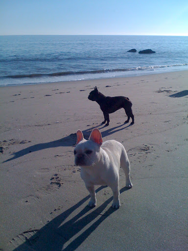 Winnie and Fala: 