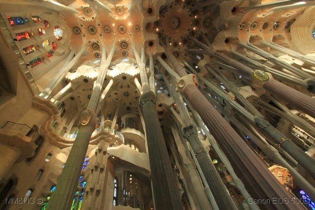 [IMG_9633%255B4%255D.jpg]