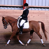 Dressurstævne i NFRK den 2. marts 2008