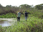 You can't say we didnt try. Wading through the swamps looking for anacondas. Our helpful guide reckoned "if you stand on one quickly jump down and grab it otherwise it'll get away". Yeah right...