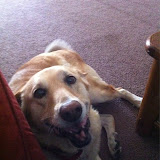 Gammy