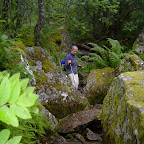 DSC02967.JPG