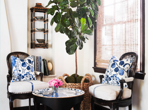 [cane_chairs_fig_tree_living_room_design%255B3%255D.png]
