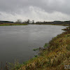 dsc06742.jpg