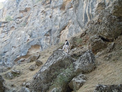 DSCN4006.jpg