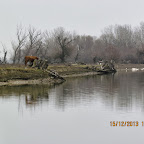 IMG_1570.JPG