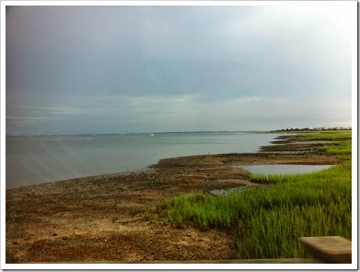 IMG_3608 IMG_3608