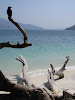  Koh Lipe Resimleri Fotoğrafları