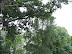 Mt. Vernon In August