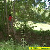 camp2007-030.jpg