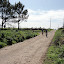 DSC00635.JPG