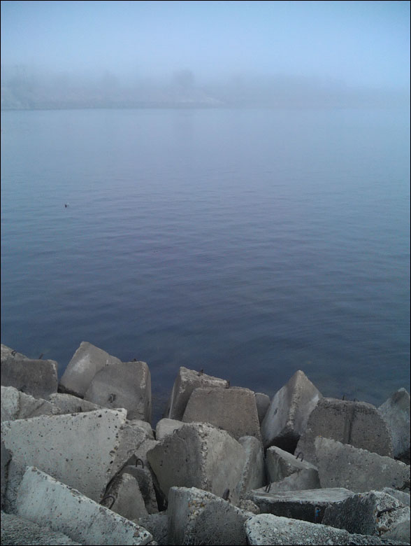 IMAG0355.jpg