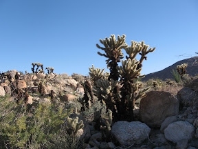 MountLaguna 038.jpg