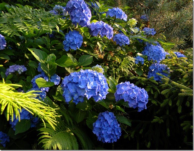DSCN0413 DSCN0413