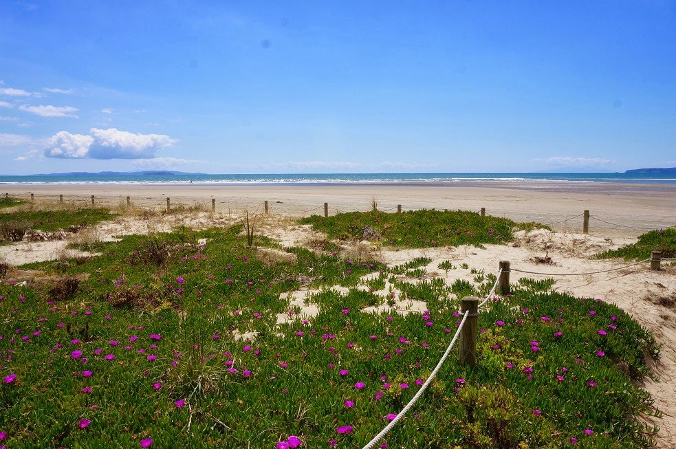 [DSC05994%255B4%255D.jpg]