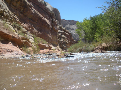 great robin hood wedding dress great robin hood wedding dress