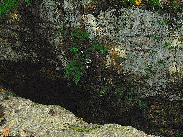 [Rockbridge_2%255B10%255D.jpg]