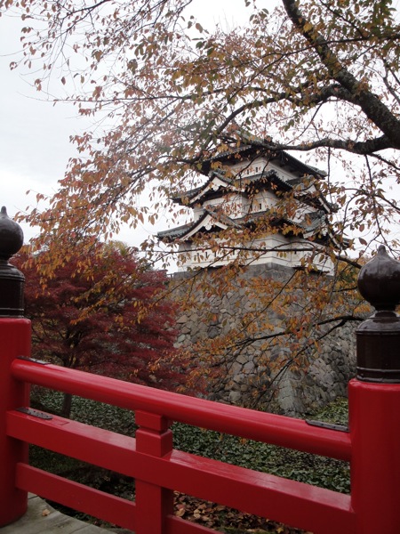 DSC03369.jpg DSC03369